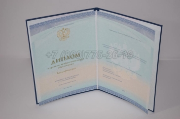 Диплом Колледжа 2023г СпецБланк в Сочи
