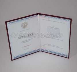 Аттестат За 11 Класс 2022г Золото ГОЗНАК в Сочи
