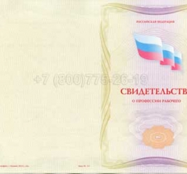 Свидетельство о Профессии Рабочего "Автоклавщик литья под давлением" в Сочи