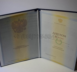 Диплом Института 2010г в Сочи